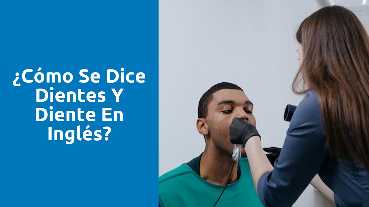 ¿Cómo se dice dientes y diente en inglés?